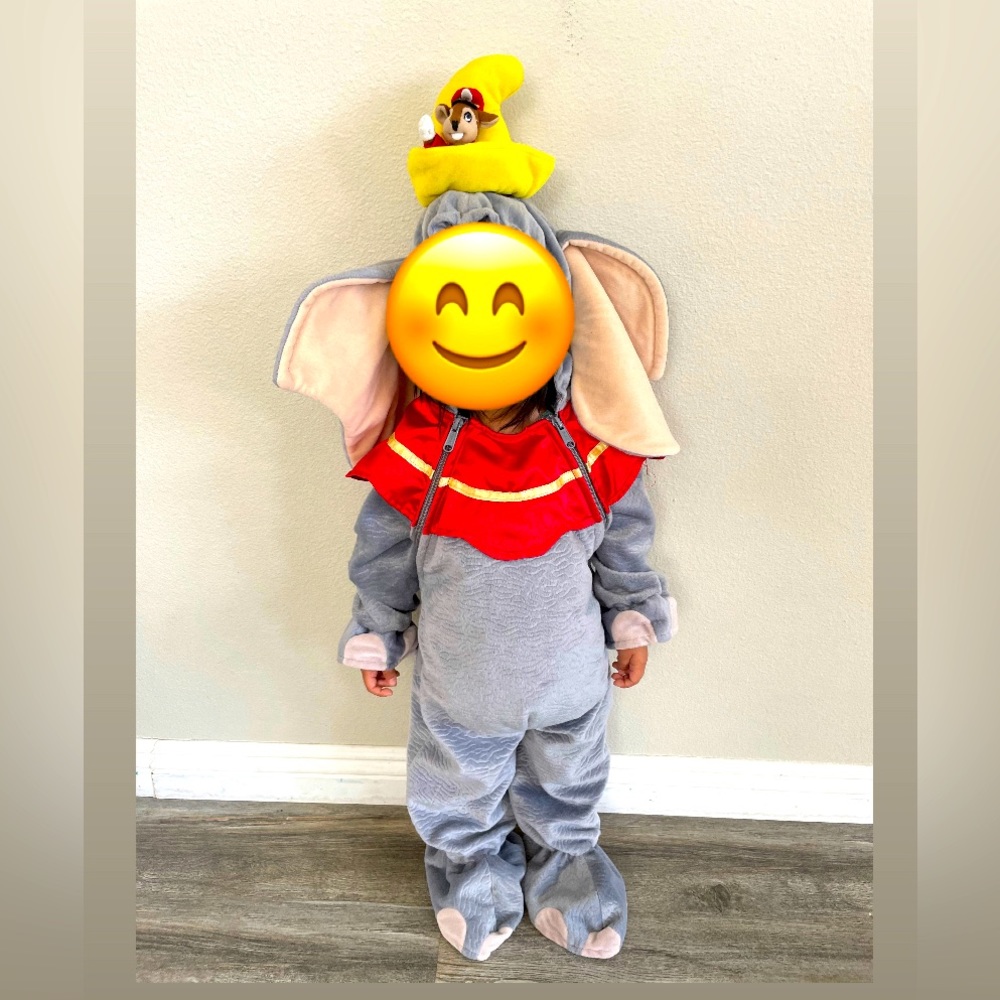 Dumbo costume